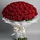 Букет 101 Красная роза Блэк Мэджик в Молодежный