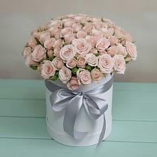 Цветочная композиция из Розы в шляпной коробке #REPLACE_PRED# Молодежный