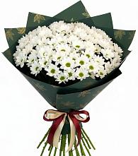 Букет цветов из:  Хризантемы #REPLACE_PRED# Молодежный
