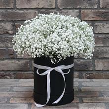 Цветочная композиция из Гипсофила в шляпной коробке #REPLACE_PRED# Молодежный