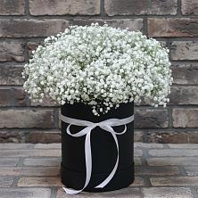 Цветочная композиция из Гипсофила в шляпной коробке в Молодежный